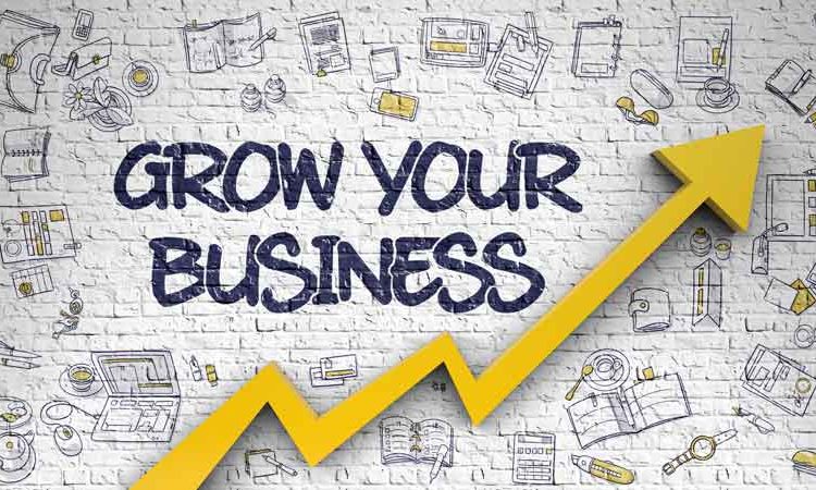 How to grow Business with the help of Digital Marketing